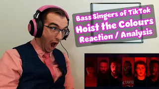 TO THE DEPTHS WITH YE | Hoist the Colours - Bass Singers of Tiktok | First Time Reaction/Analysis￼