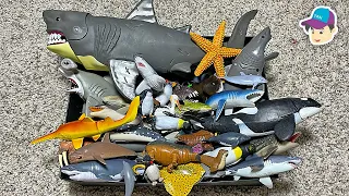 BIG BOX OF SEA ANIMAL - Shark Whale Dolphin Penguin Stingray Orca