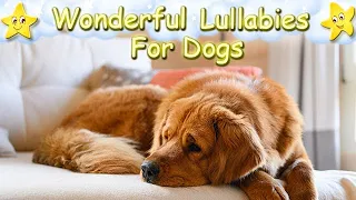 Relaxing Sleep Music For Dogs And Puppies ♫ Calm Your Dog Effectively