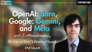 OpenAI Sora, Google Gemini, and Meta with Zvi Mowshowitz