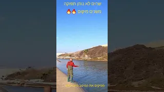 שהים "מת" מחפשים את הבורים במקום אחר 🔥🔥🔥🔥🔥🔥