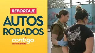 REPORTAJE | Clonadores al acecho: Tras la huella del portonazo - Contigo en la Mañana