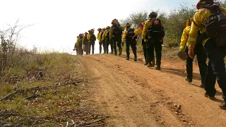 A Year in the CCC Can Lead to Fire Careers