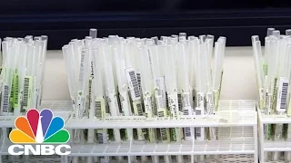 Genetic Test Can Help Prevent America's Opioid Painkiller Addiction | The Pulse | CNBC