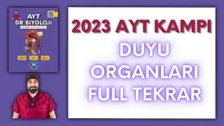 Duyu Organları Full Tekrar AYT Biyoloji Kampı Konu Anlatımı/11.Sınıf 2024 Tayfa