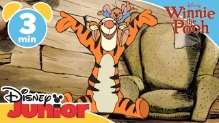 The Mini Adventures of Winnie the Pooh | The Super Bounce | Disney Junior UK