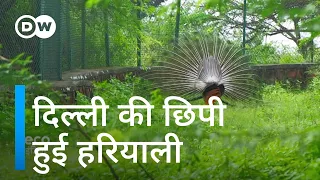 दिल्ली के ये कोने सबको नहीं दिखाई देते हैं [The rich biodiversity hiding in Delhi]