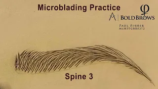 Microblading PhiBrows BoldBrows Spine 3