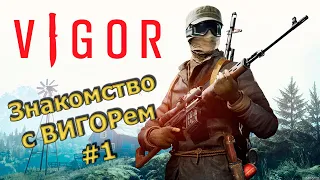 2K Stream Vigor новинка в Steam Смотрим Игру #шутер СТРИМ от 20.05.2024