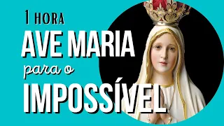 1 HORA DE AVE MARIA PARA O IMPOSSÍVEL, poderosa oração, momento de oração com Deus