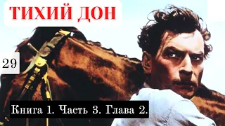 «Тихий Дон» / Подробный пересказ / Книга 1. Часть 3.  Глава 2.