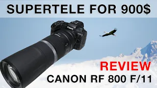 Canon RF 800mm F11 IS STM Review - Wildlife and Bird Photography