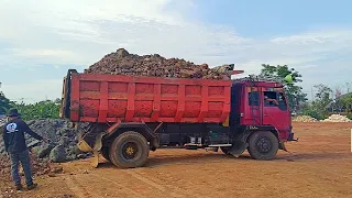 Mobil Truk OLENG Jomplangin Muatan Full Bak