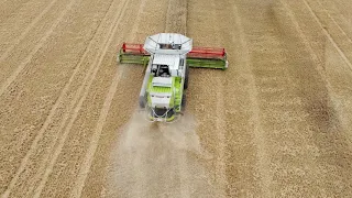 Claas Lexion 600 harvesting wheat