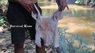 Primitive Technology: Cooking Pig in the Forest - Top Cooking Pig Eating Delicious