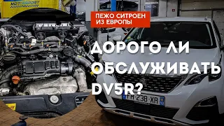 Дорого ли стоит обслужить после покупки DV5R? (стоимость и нюансы в описании видео)