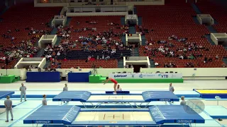 LIU Changxin (CHN) - 2018 Trampoline Worlds, St. Petersburg (RUS) - Qualification Trampoline R2