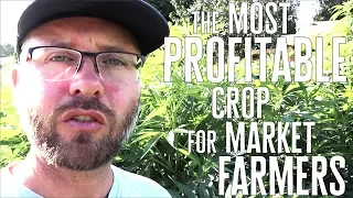 The Most Profitable Crop Revealed: Market Farmers' Money-Making Secret!