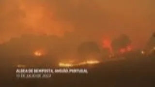 Más de 3.000 bomberos combaten incendio forestal en Portugal