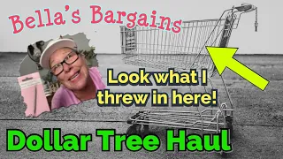 Dollar Tree Haul, Shopping Saturday