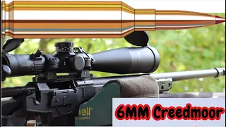 6MM Creedmoor, First shots, Seekins Havak Hit