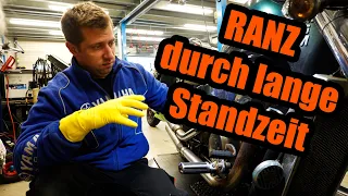 Lange Standzeit zerfrisst das Motorrad! | Honda VT 750C Shadow