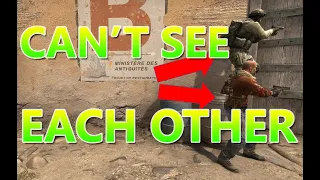 CSGO but EVERYBODY is INVISIBLE