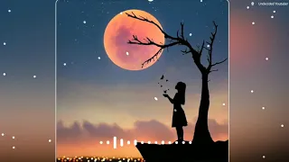 zindagi Bewafa Hai Ye Mana Magar | Whatsapp Status | Love Song WhatsApp Status | Dj Remix Status