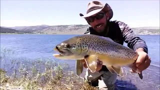 Panguitch Lake July 1st 2019 Fly Fishing, Big Tiger Trout