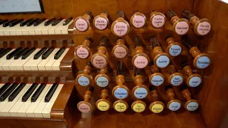 A MILE-LONG TRACKER ACTION WITH BARKER LEVERS | French-German Organ in Debrecen HU | Bálint Karosi
