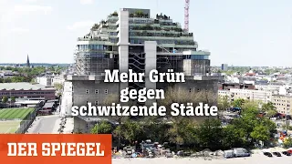 Hitze in Hamburg: Bepflanzter Hochbunker soll Luft kühlen | DER SPIEGEL