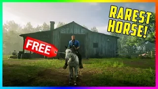 How To Get The RAREST & HARDEST To Find Horse For FREE In Red Dead Redemption 2! (RDR2 Best Horses)