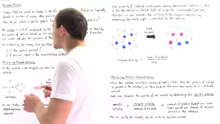 Enzyme Assay, Enzyme Activity and Specific Activity