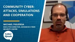 Community Cyber-Attacks, Simulations and Cooperation