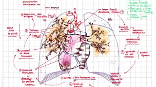 Edema agudo de pulmón - Clínica, fisiopatológica y tratamiento