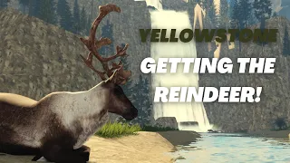 GETTING THE REINDEER! 🦌 - Yellowstone Unleashed Roblox