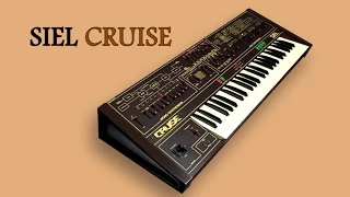 SIEL CRUISE Analog Synthesizer 1979 | HD DEMO