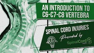 C6, C7, C8 Definitions. Cervical Spinal Cord Injury Symptoms, Causes, Treatments, and Recovery.