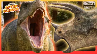 Surviving the Age of Dinosaurs! 🦖🌎 Compilation | Life on Our Planet | Netflix After School