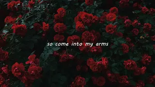 come into my arms - november ultra