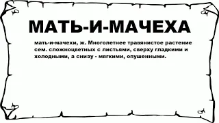 МАТЬ-И-МАЧЕХА - что это такое? значение и описание