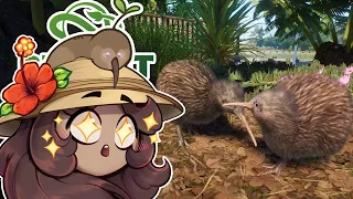 I'll Turn This Deserted Island Into KIWI Paradise!! 🦤🌴🥝 Planet Zoo: Oceania Adventures!!