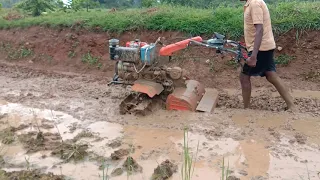 Shrachi 9hp power weeder in wet paddy field