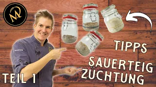 Meine Tipps zum Züchten von Sauerteig - Sauerteig Starter selber machen