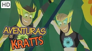 Aventuras com os Kratts 💿 Qual é o Disco de Poder mais Raro? 💿