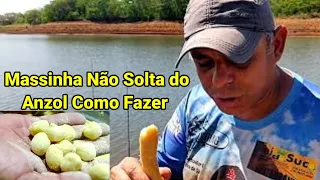 MASSINHA NÃO SOLTA DO ANZOL E CEVA PEGA QUALQUER PEIXE!! Como Fazer  [Passo a Passo ]