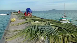 rumpon daun kelapa mudah cara buatnya