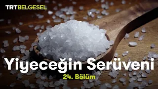 Yiyeceğin Serüveni | Tuz | TRT Belgesel