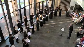 "When David Heard" by Eric Whitacre performed by Bob Jones University Chamber Singers