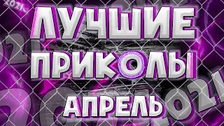 Лучшие приколы 2021 Апрель / Новые приколы /Час приколов / Ржака до слёз / FA